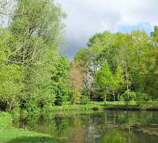 Impressionen aus dem Achterdiekpark