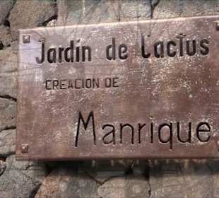 Jardín de Cactus