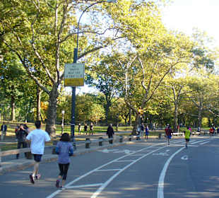 Im Central Park