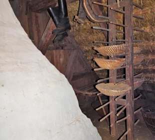 Auf dem Trockenboden