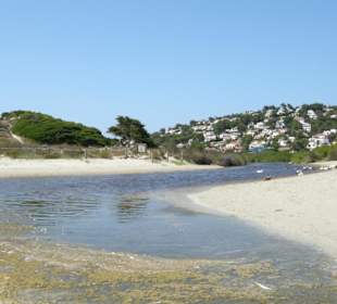 Ententeich am Strand