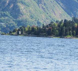 Am See