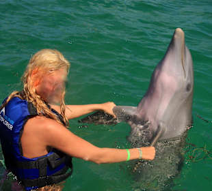 Tanzen mit einem Delfin