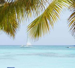 Zauberhafter Ausblick