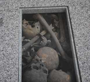 Kości budowniczych Katedry