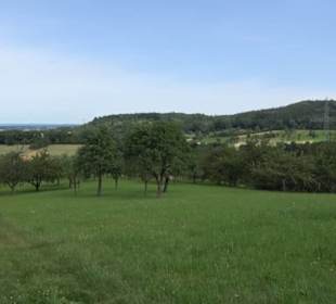 Aussichtspunkt Östliche Linsenhalde