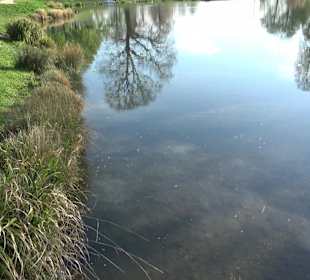 Nymphensee Stuttgart