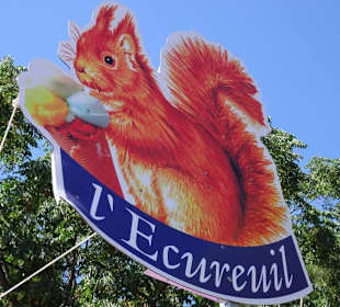 Das Eichhörnchen auf dem Dach des Restaurants