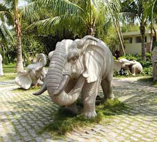 Sanya