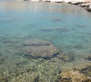 Denke dazu brauch man nichts schreiben / Strand