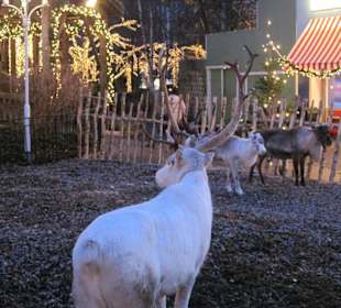 Weihnachten im Liseberg