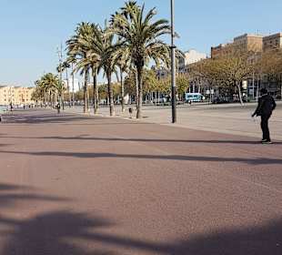La Barceloneta