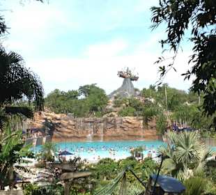 Disney's Typhoon Lagoon
