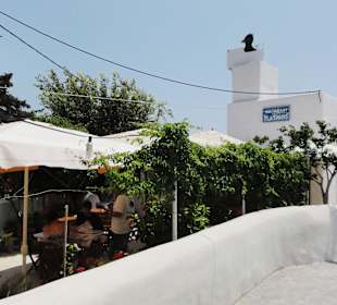 Taverna Platanos