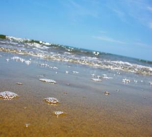 Strand in Bibione Juni 2012