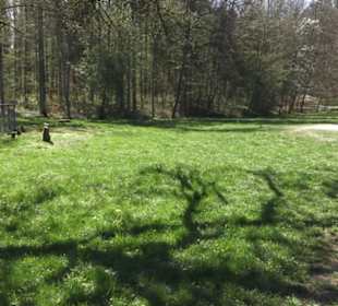 Sport- und Freizeitpark Markwasen