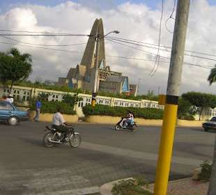 Monster Truck Safari