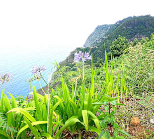 Aussichtspunkt Adlerfelsen