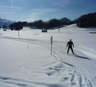 Langlauf Loipe