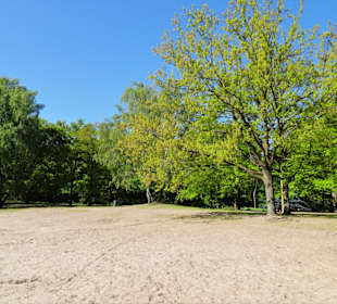Eindrücke vom Rundgang um den Silbersee