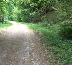 Waldlehrpfad in Tieringen