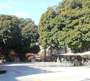 Plaza de San Francisco