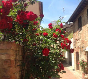 Rose rosse nel borgo dell'amore