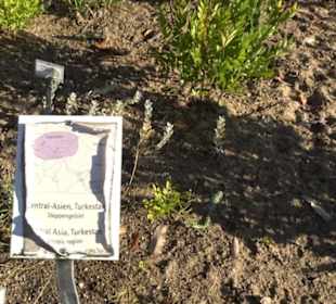 Botanischer Garten
