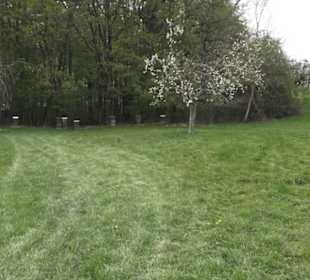 Wanderweg Firstwaldrunde