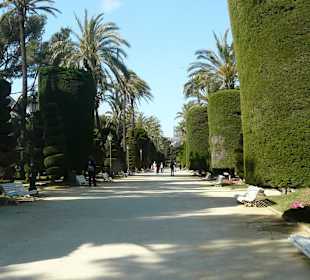 Wunderbare Altstadt Cadiz
