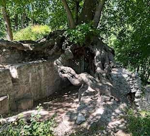 Wandern Thale