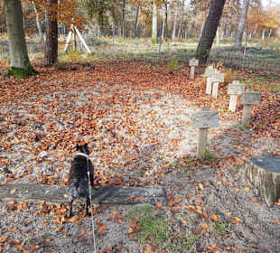 Aktionsstand Wildtiersprunggrube  Bulldogge 1,5m !