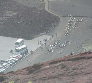 Timanfaya (Montanas del Fuego)