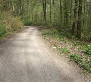 Walderlebnisweg Rottenburg