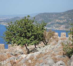 Blick auf die Burgmauern