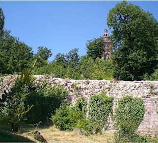 Ein kleiner Teil der Burgruine