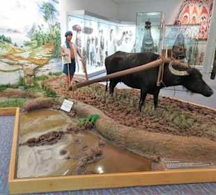 In der Völkerkundeabteilung des Museums