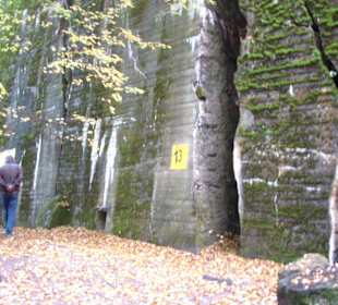 Wolfsschanze