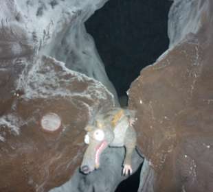 Ice Age Höhle