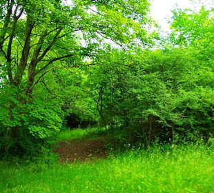 Der Stausee und seine Umgebung