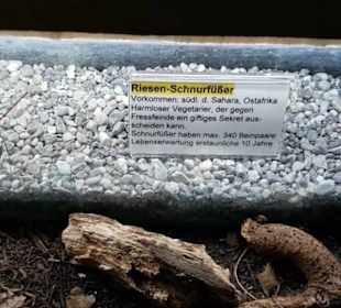 Exotarium