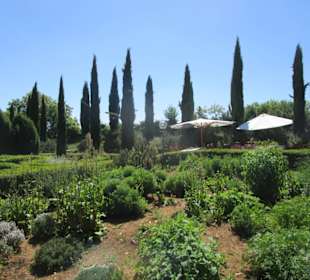 Burgschenke Burg Battenberg