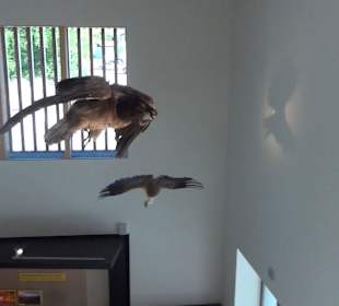 Nationalparkzentrum Haus der Berge