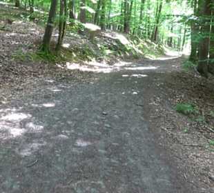 Wanderweg - Alter Steinbruch Pfaffenberg Runde