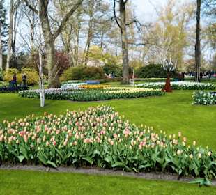 Blumenpracht im Keukenhof