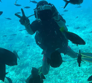 Schnorcheln Hurghada