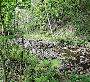 Wandern Clausthal-Zellerfeld