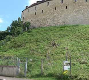 Burg Katzenstein