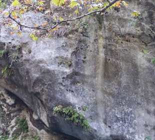 Gizli Cennet(Hidden Paradise)