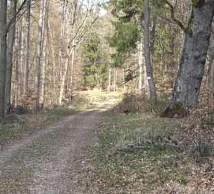 Geologischer Lehrpfad Kirnbachtal
